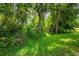 Lush backyard with mature trees at 6928 Cozumel Ct, Land O Lakes, FL 34637