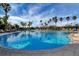 Expansive community pool lined with palm trees and lounge chairs under a sunny, partly cloudy sky at 746 Masterpiece Dr, Sun City Center, FL 33573