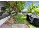 Backyard featuring mature trees and a fence, providing privacy and shade at 9909 San Mateo Way, Port Richey, FL 34668