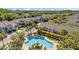 Community pool surrounded by palm trees, sun loungers, and well-maintained townhomes at 10217 Westpark Preserve Blvd, Tampa, FL 33625