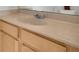 Bathroom vanity featuring a light countertop and a faucet at 11617 Colony Lake Dr, Tampa, FL 33635