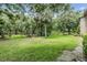 Lush backyard with mature trees, and a spacious green lawn, offering a tranquil and private outdoor setting at 1400 Tarpon Woods Blvd # E4, Palm Harbor, FL 34685