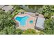 Overhead view of the community pool and jacuzzi surrounded by lounge seating and lush greenery at 1400 Tarpon Woods Blvd # E4, Palm Harbor, FL 34685