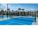 Well-maintained pickleball court with high net and secure fencing surrounded by trees for a competitive match at 16962 Warm Hand Ct, Land O Lakes, FL 34638