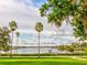 Scenic water view featuring mature palm trees, well-manicured lawns, and a dock at 504 Riverside Dr # 504, Tarpon Springs, FL 34689