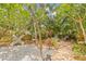Secluded backyard garden featuring tropical plants, brick pathways, and cozy seating at 1005 Main St, Safety Harbor, FL 34695
