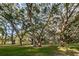 Lush park with playground, mature trees providing shade, and green grass, creating an inviting outdoor space at 1281 Amberlea E Dr, Dunedin, FL 34698