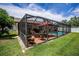 Backyard showcasing screened lanai, patio, pool, and well-maintained lawn at 1281 Amberlea E Dr, Dunedin, FL 34698