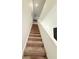 Carpeted stairway with white walls and railings leads to the upper level, offering a sleek design at 13400 10Th St, Dade City, FL 33525