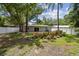 A lush backyard featuring mature trees, vibrant plants, green grass, and a white fence at 1817 West Dr, Clearwater, FL 33755