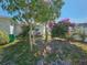 Cozy backyard featuring lush pink bougainvillea bushes, trees, and glimpses of the house, creating a serene outdoor space at 2066 High Ridge Dr, Clearwater, FL 33763