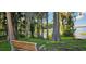 Serene lake view through lush trees, featuring a bench for enjoying the natural beauty at 3509 Oak Lake Dr, Palm Harbor, FL 34684