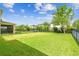 Lush green backyard showcasing a well-maintained lawn surrounded by black fencing at 4177 Beeswax Ln, Land O Lakes, FL 34638