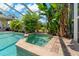 Beautiful pool and spa area with lush tropical landscaping creating a private backyard oasis at 4530 Roanoak Way, Palm Harbor, FL 34685