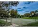 Community basketball court with multiple hoops and surrounding greenery at 5205 Fairway One Dr, Valrico, FL 33596