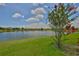 Lush green backyard with a large lake view, framed by a tree with vibrant pink blooms on a sunny day at 5532 Sunset Falls Dr, Apollo Beach, FL 33572