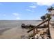 Steps leading to a waterfront with beautiful views and clear blue sky at 6265 Sun Blvd # 1203, St Petersburg, FL 33715