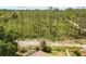Aerial shot of home and treeline at 9047 Quail Creek Dr, Tampa, FL 33647