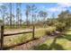 View of the expansive backyard at 9047 Quail Creek Dr, Tampa, FL 33647