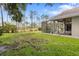 Expansive backyard featuring a screened lanai and scenic views of the natural surroundings at 9047 Quail Creek Dr, Tampa, FL 33647