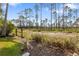 View of the expansive backyard showing the treeline at 9047 Quail Creek Dr, Tampa, FL 33647