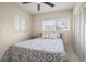 Bedroom featuring bright natural light, a patterned comforter, and a ceiling fan at 1794 Santa Barbara Dr, Dunedin, FL 34698