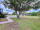 Expansive backyard features a lush lawn, mature tree, and inviting pool, ideal for outdoor gatherings at 1902 Rebecca Rd, Lutz, FL 33548