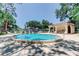 Community pool surrounded by lounge chairs, trees, and clear skies at 2935 Lichen Ln # D, Clearwater, FL 33760