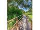 Scenic wooden walkway bordered by lush greenery, offering a peaceful natural setting at 2935 Lichen Ln # D, Clearwater, FL 33760