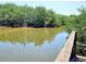 View of a river and trees from a dock at 2935 Lichen Ln # D, Clearwater, FL 33760