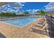Community pool area with lounge chairs and mature palms at 3012 Magnolia Meadows Dr, Plant City, FL 33567