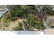 A bird's eye view of a backyard featuring lush greenery and trees at 3217 Saddlebrook Ave, Tampa, FL 33618
