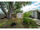 Large, sunny backyard has mature trees and landscaping and a storage shed at 3217 Saddlebrook Ave, Tampa, FL 33618