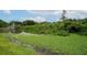 Tranquil view of a serene pond with wildlife, offering a peaceful retreat at 3217 Saddlebrook Ave, Tampa, FL 33618