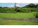 Natural pond covered in plant life, providing privacy and a natural habitat for local wildlife at 3217 Saddlebrook Ave, Tampa, FL 33618