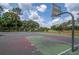 Well-maintained basketball court with multiple hoops and clear markings, providing a great space for sports and recreation at 3821 Turkey Oak Dr, Valrico, FL 33596