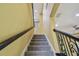 Carpeted stairway featuring black iron railing at 4089 Windcrest Dr, Wesley Chapel, FL 33544