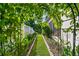 Charming yard with decorative archway leading to a serene outdoor area at 4089 Windcrest Dr, Wesley Chapel, FL 33544