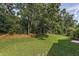 Lush backyard featuring a well-maintained lawn, mature trees, and natural landscaping for privacy at 4133 Auston Way, Palm Harbor, FL 34685