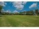 Spacious community playing field with soccer nets surrounded by lush greenery and trees at 4133 Auston Way, Palm Harbor, FL 34685