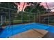 Screened-in pool and backyard with a basketball hoop and tropical landscaping at 4133 Auston Way, Palm Harbor, FL 34685