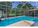 Pool with an adjacent patio area with a basketball hoop, surrounded by tropical landscaping and a screened enclosure at 4133 Auston Way, Palm Harbor, FL 34685