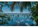 Tranquil waterfront scene with clear, reflective waters and reeds, framed by palm trees and blue skies at 4133 Auston Way, Palm Harbor, FL 34685