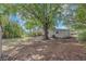 Expansive backyard featuring mature trees, a grassy area, and a single-story home at 4425 W Bay Ave, Tampa, FL 33616