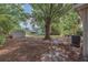 Spacious backyard showcasing a storage shed, a large tree, and a grassy lawn at 4425 W Bay Ave, Tampa, FL 33616