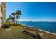 Scenic waterfront view with bench, lush greenery, and buildings in the distance at 4750 Cove Cir # 1001, St Petersburg, FL 33708