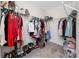Walk-in closet with ample storage, organized shelving, and carpet flooring at 7034 Emerald Spring Loop, New Port Richey, FL 34653