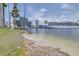 Scenic waterfront view showcasing palm trees, buildings, and a large cruise ship at 731 Cruise View Dr, Tampa, FL 33602