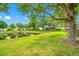 Backyard featuring pond view and lush green landscaping at 10255 Devonshire Lake Dr, Tampa, FL 33647