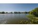 Picturesque lake view showcasing serene waters and lush greenery, creating a tranquil atmosphere at 12416 Queensland Ln, Tampa, FL 33625